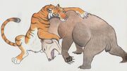 Tiger vs bear by dark hyena-1-