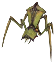 Antlion (Render)