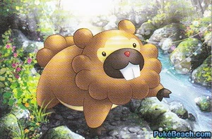 Bidoof Bidoof
