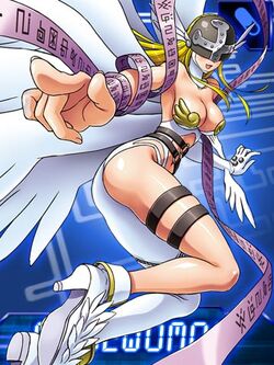 Angewomon collectors card