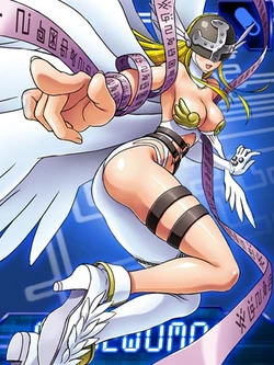 Angewomon collectors card