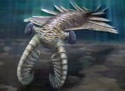 Anomalocaris