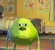 Bruh Moment