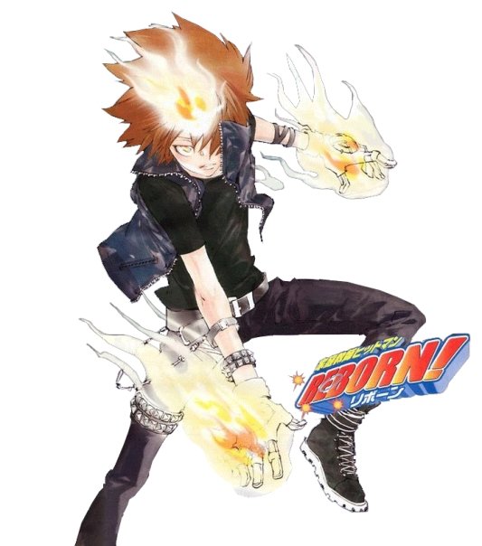 tsuna sawada dying will