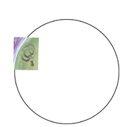Photo Collage Maker u5rE1a Photo Collage Maker u5rE1a