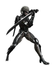 Raiden fix sm Raiden fix sm