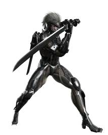 Raiden fix sm