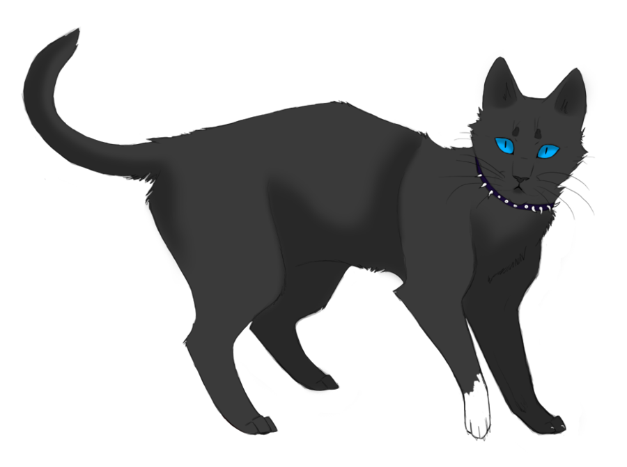 scourge vs battles wiki