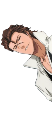 Aizen12831-0 Aizen12831-0
