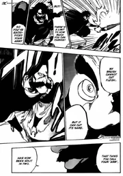 Bleach-5309543