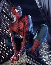 Spider Man Raimi