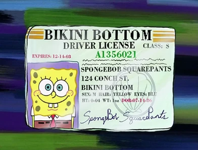 SpongeBobDob