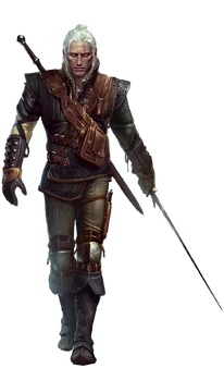 Tw2 full Geralt Tw2 full Geralt