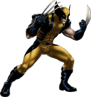 Wolverine Portrait Art