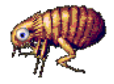FLEA (1)
