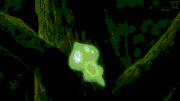 Zygarde speed