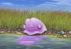 Ditto by racieb-1-