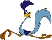 Roadrunner3