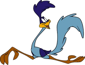 Roadrunner3