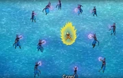 Beerus multiform Beerus multiform