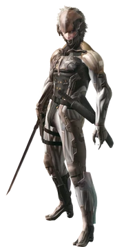 Raiden Raiden