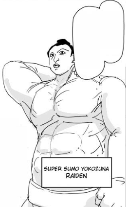 Raidensumo