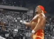 Hulkster Hulkster