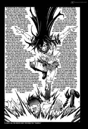 Medaka Kurokami Medaka Kurokami
