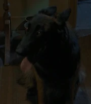 AFIUOP-
