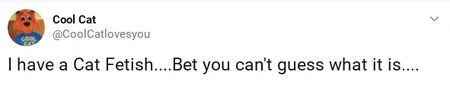 COOLCATSAIDWHAT