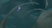 2132132 2132132