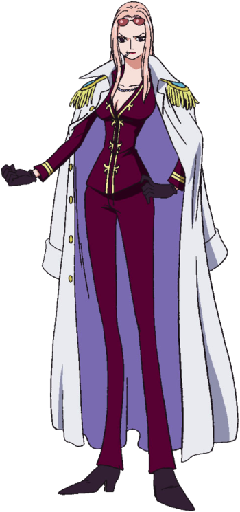 Hina (One Piece) | VS Battles Wiki | Fandom