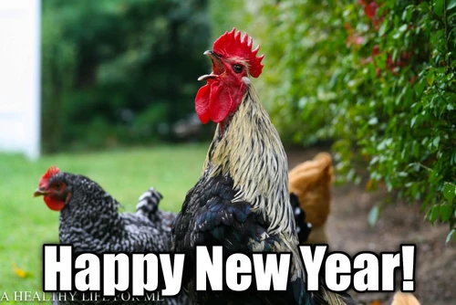 Newyear