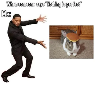 Pancakebunny