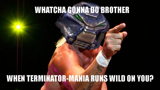 Termihulkster