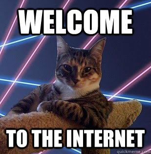 Welcome to the internet seductive cat