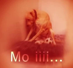 123f 123f