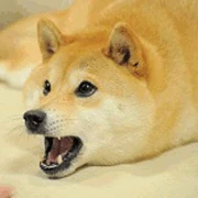 Doge Wow