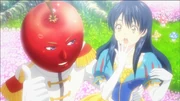 Tomatoprin