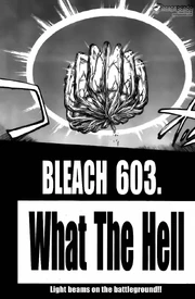 Bleach-5270031 Bleach-5270031