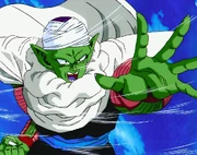 Piccolo2