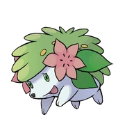 Poke shaymin