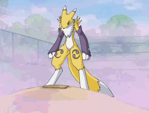 How to hide renamon