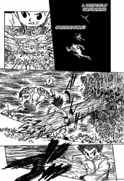 Hunter-x-hunter tree 1