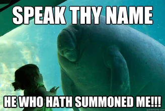 SummonedMe