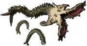 Molgera