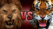 Death battle thumbnail lion vs tiger by kiryu2012-dbfhubd-1-
