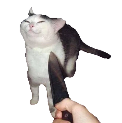 Hghuigvuhv
