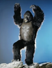 King Kong 1986 Still King Kong 1986 Still