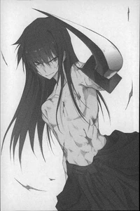 LN Vol 8 illustration 06